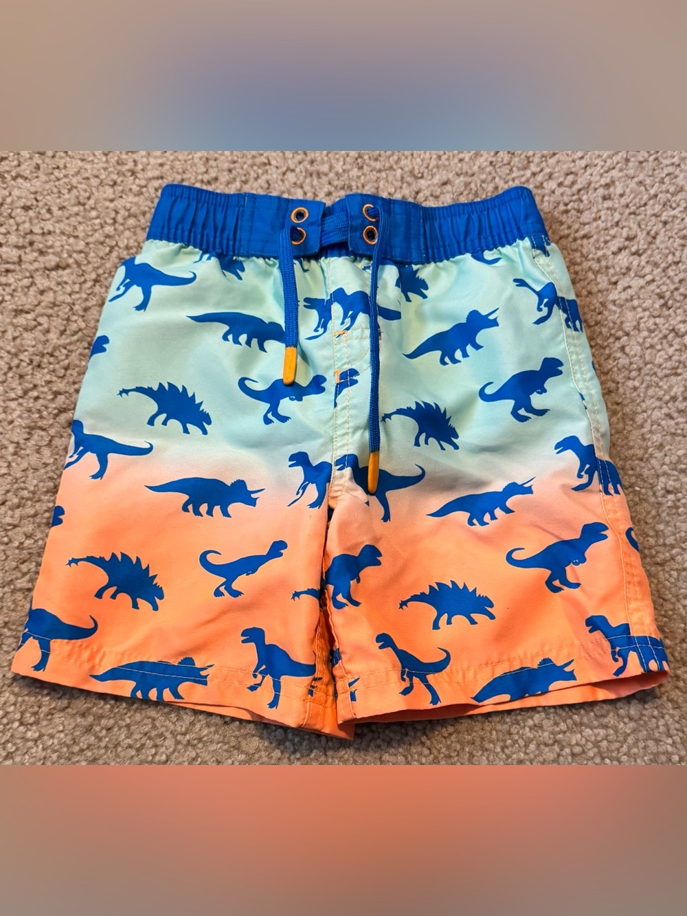 Boys Dino Gradient Swim Trunks - Blue & Orange